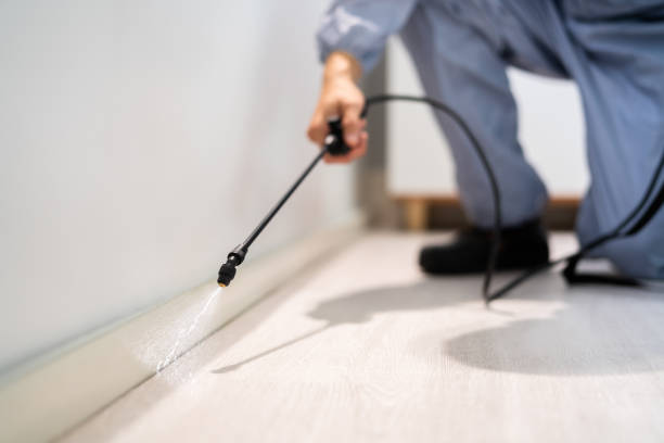 Bed Bug Pre-Treatment Preparation Assessment in Bay Springs