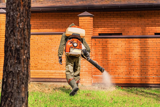 Bed Bug Clearance Verification and Documentation in Bay Springs